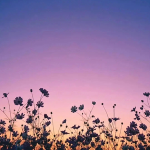 枕边童话（cover：小田音乐社/傲七爷）