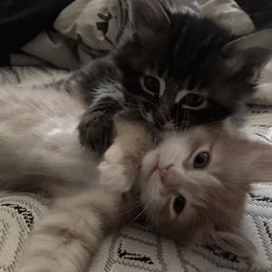 592//@#！！(Prod. by undislove)