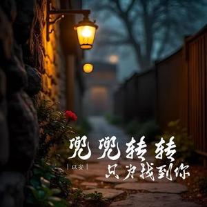 兜兜转转只为找到你x0.97