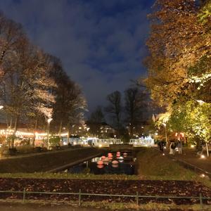 Normalstörd (Olika)