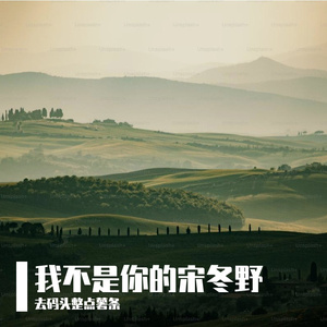 我不是你的宋冬野