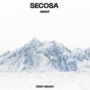 SECOSA