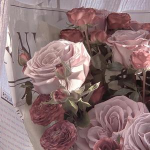 落日与晚风 （翻唱）