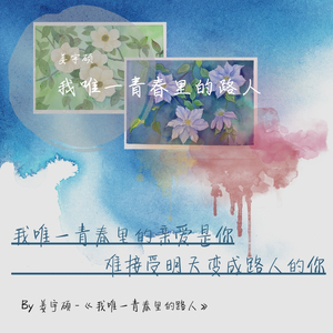 我唯一青春里的路人