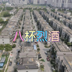 等你降落 (冰雪版)