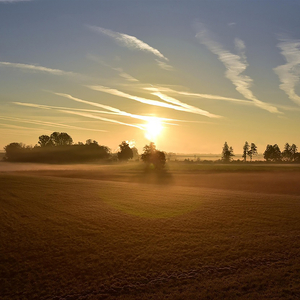 How You Made Me Feel