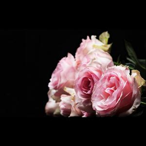 Allena (Instrumental)