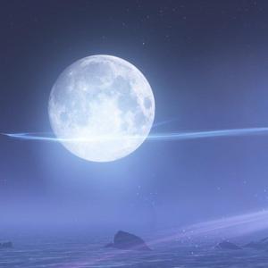 漂洋过海来看你