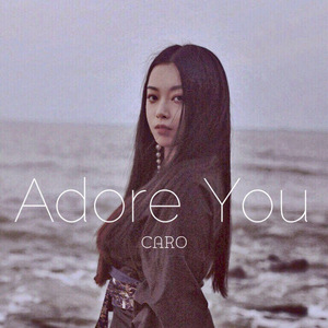 Adore You