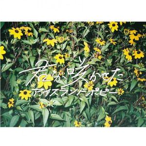 ワンルームとマグカップ