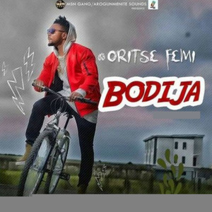 Bodija