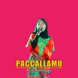 Paccallamu