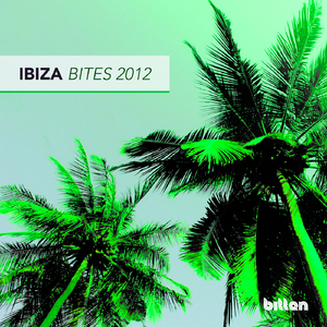 Hollen's Ibiza Bites Mix (Continuous DJ Mix)