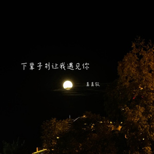 下辈子别让我遇见你