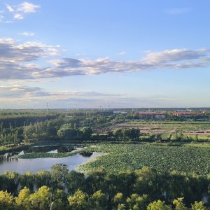 沉浸在你的眼底