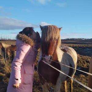 《言情难》合唱版