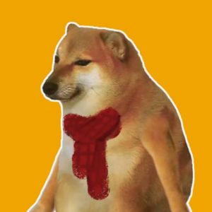 写给我第一个喜欢的女孩的歌