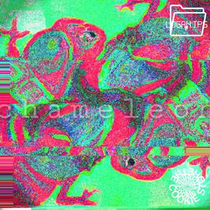 genderaesthetics!!! (feat. jane's sound castle)