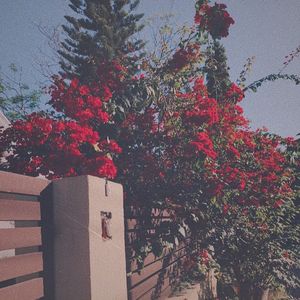 YY（prod.Yn1jasper）