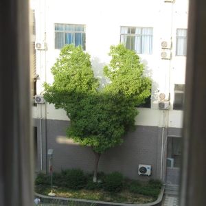 okokkomywrld Prod.bonnytown