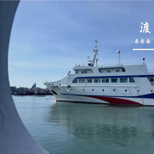 你的心可以飞跃高墙