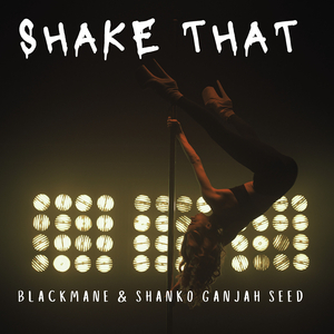 Shake That