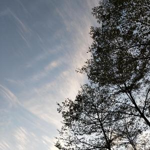 忽然之间（demo）