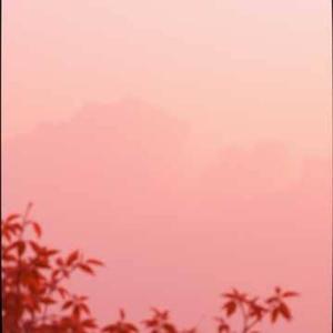 Рожевий вечір наступає - 2