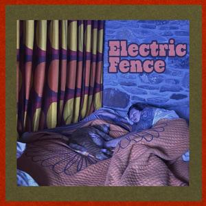 Electric Fence