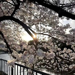 灵魂深处的探寻之心