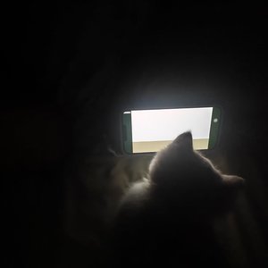 《终于在一起》