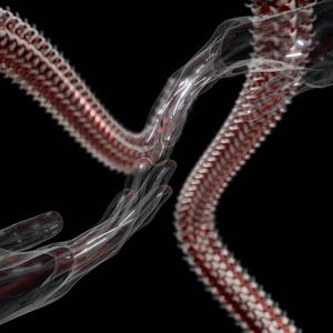 Refraction (feat. Taylor Thomas)