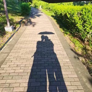 阳光下河畔热恋