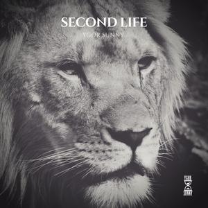 Second Life