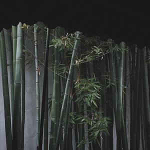 江湖逐影 武侠风紧张追逐