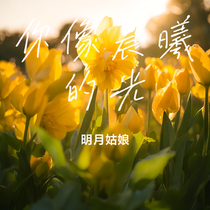 你像晨曦的光