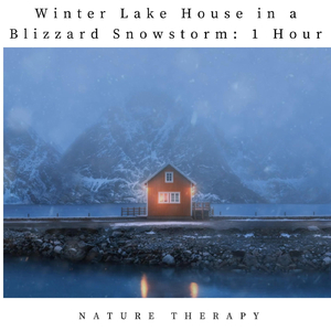 Winter Lake House in a Blizzard Snowstorm: One Hour