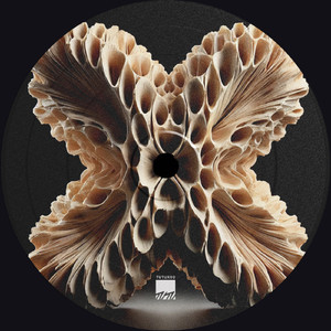 Senior (Original Mix)