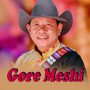 Gore Meshi