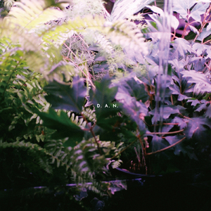 Kape Fear (feat. D.A.N.) [D.A.N. Remix]