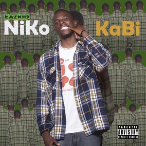 niko kabi