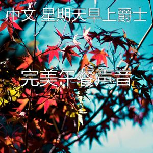 柔和的周末时刻