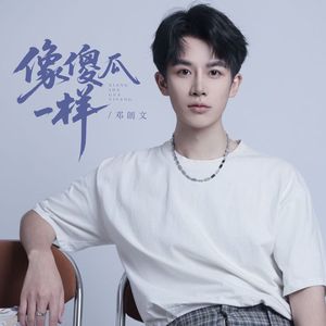 像傻瓜一样