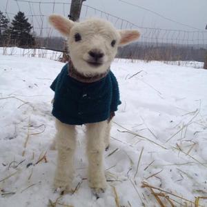 wreckdawraith (feat. kam & Khory)