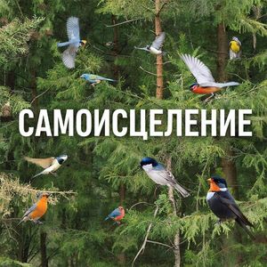 САМОИСЦЕЛЕНИЕ