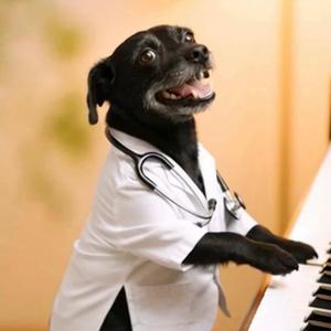 Cytomegalovirus vs Toxoplasmosis Lesson