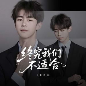 终究我们不适合