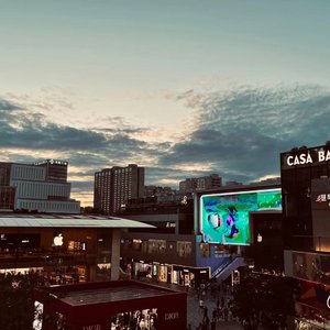 Callan Foster- Where Have You Gone 神仙也好妖怪也好（苏俊Music remix）