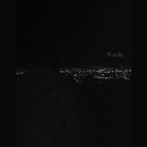 Y.A.K.