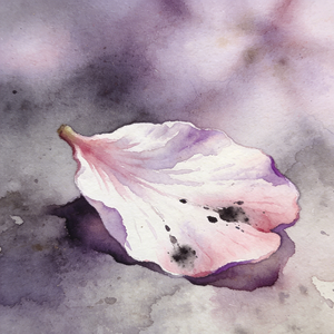 花寂寥(今夜的风也潇潇)